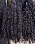 Jamaican Curly